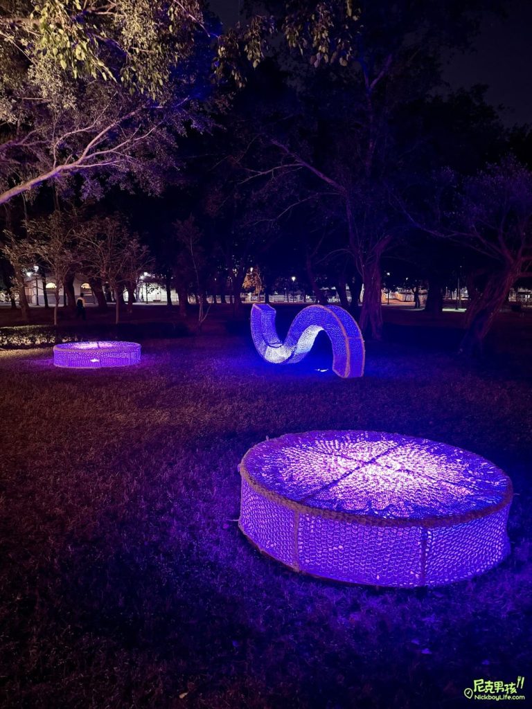 IMG 2555