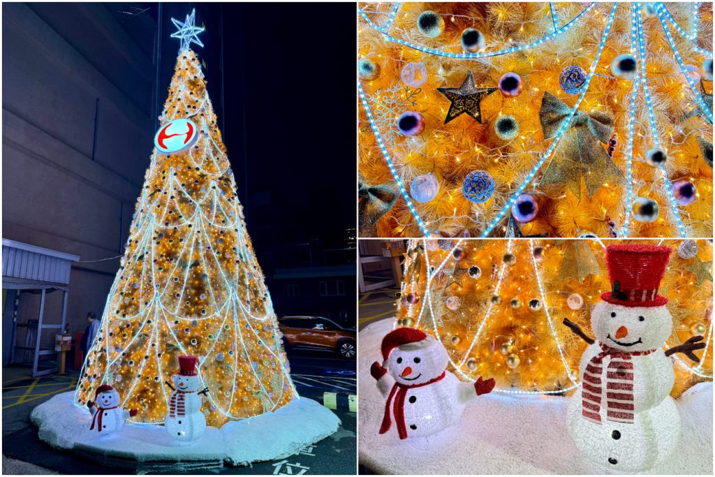 %E4%B8%AD%E6%AD%A3%E9%AA%A8%E7%A7%91%E8%81%96%E8%AA%95%E6%A8%B9