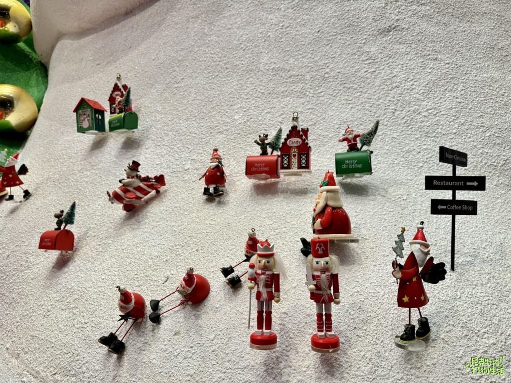 IMG 7974